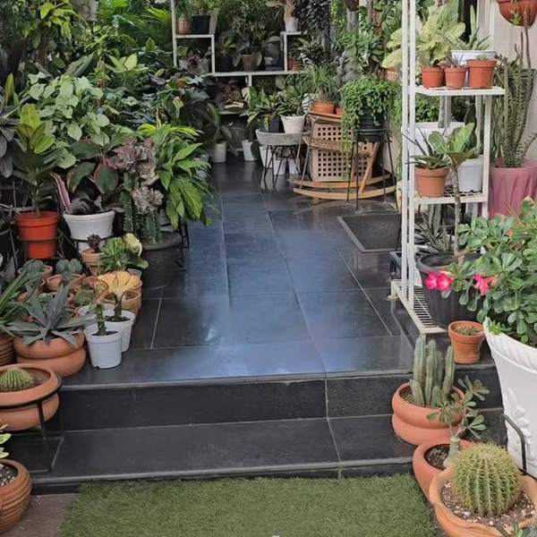 The plant nursery outside the shop
